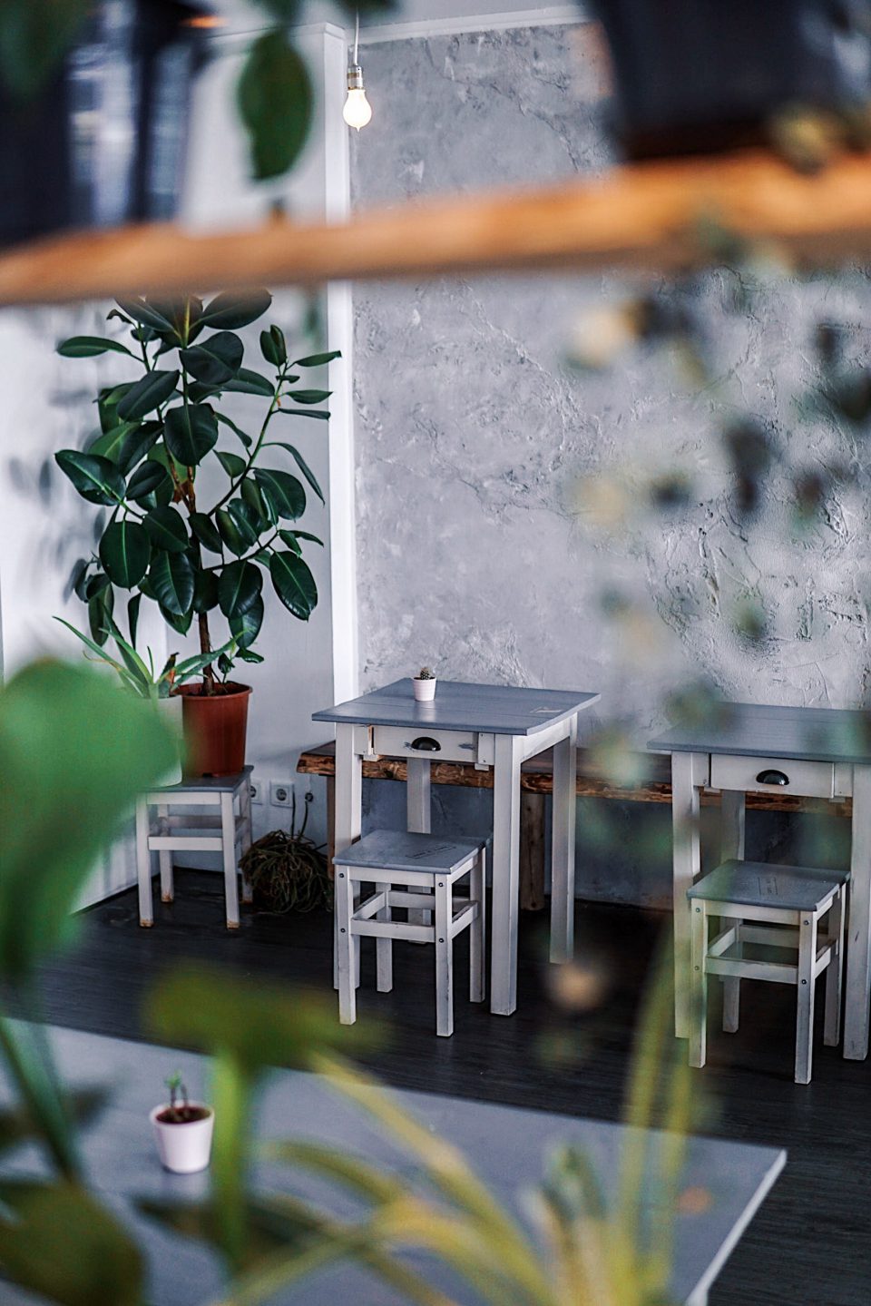9 PLACES TO IMMERSE YOURSELF IN PLANTS IN BERLIN