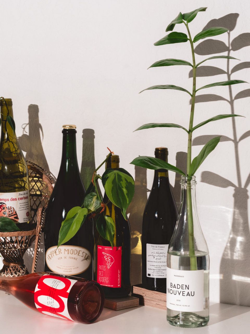 AN EASY INTRODUCTION TO NATURAL WINE