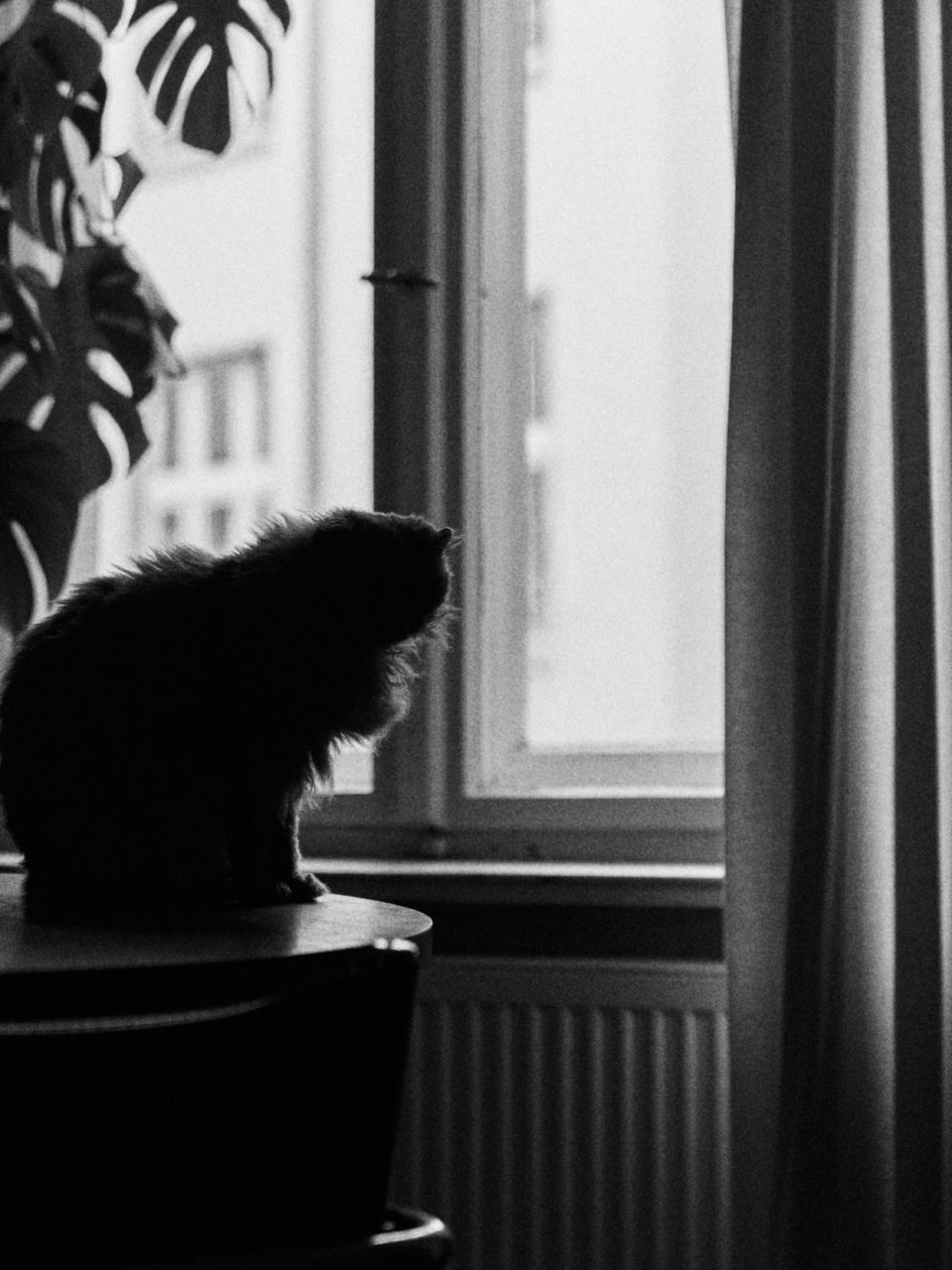 NIX – A SHORT STORY BY CARINA BACELAR